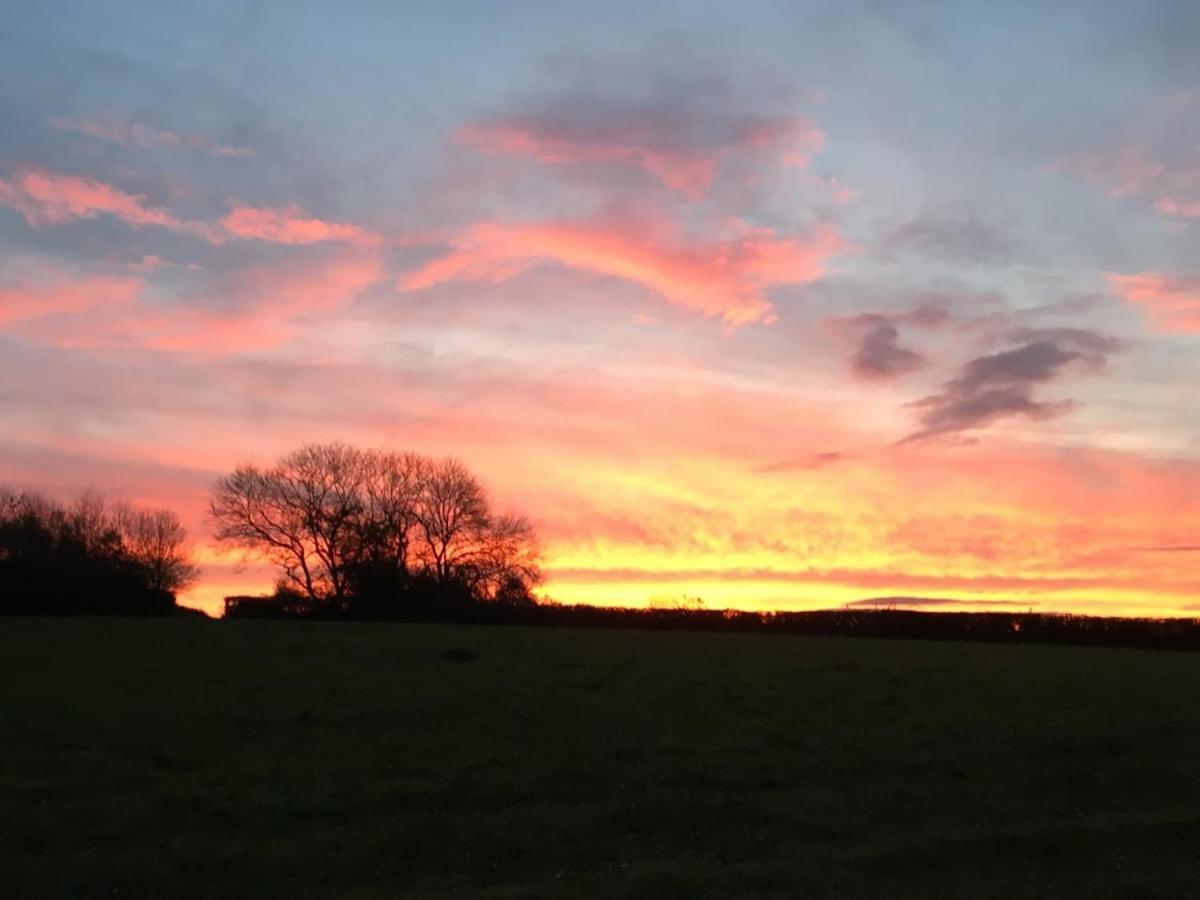 Award Winning Lower Whitsleigh Farm Cottage Roborough Kültér fotó