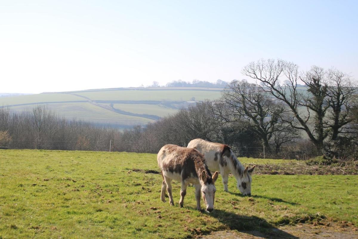 Award Winning Lower Whitsleigh Farm Cottage Roborough Kültér fotó